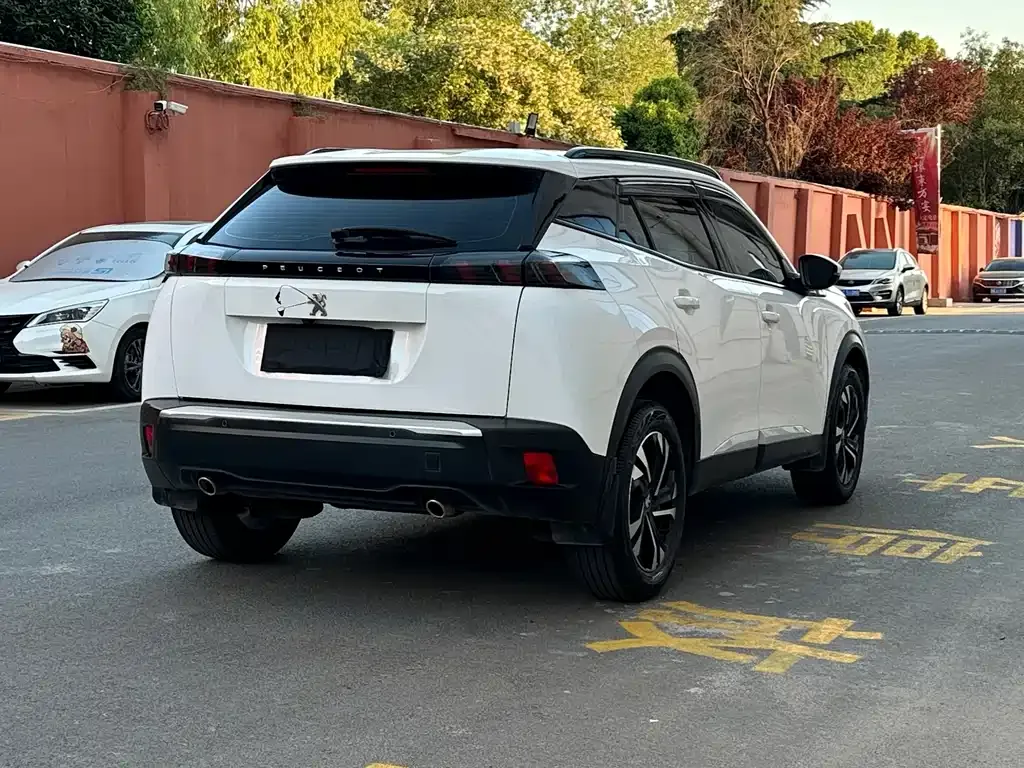 Peugeot 2008 2022 из CN, фото 5