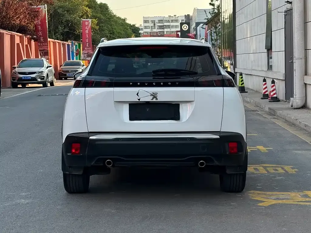 Peugeot 2008 2022 из CN, фото 4