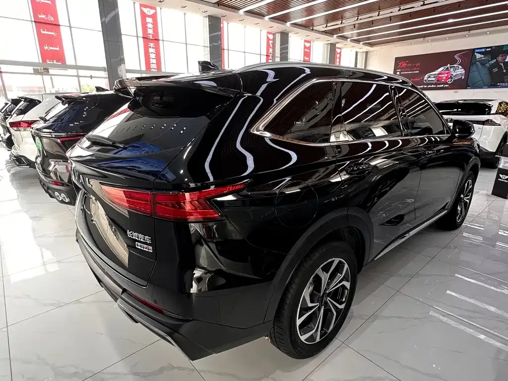 Haval Xiaolong MAX 2024 из CN, фото 3