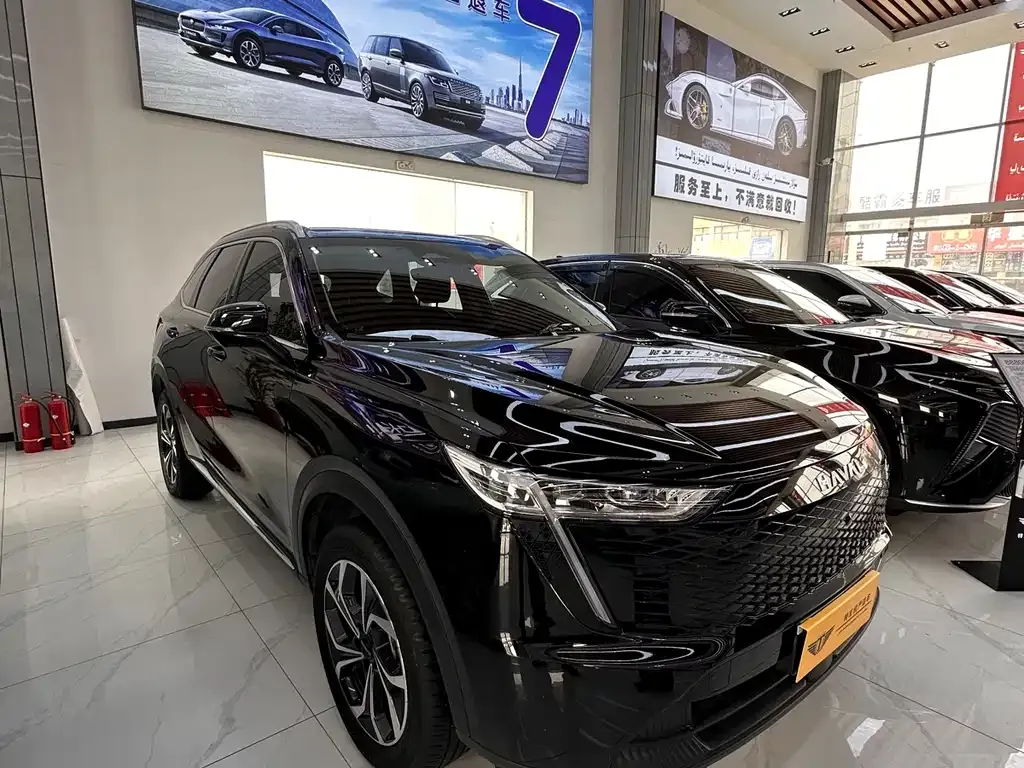Haval Xiaolong MAX 2024 из CN, фото 5