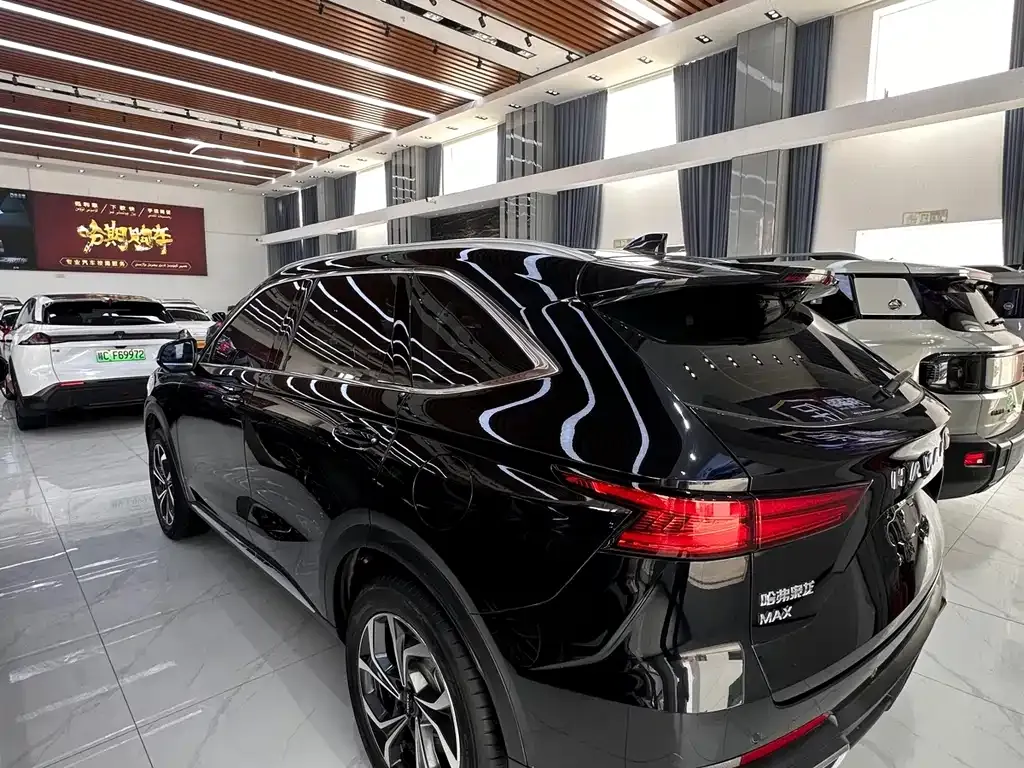 Haval Xiaolong MAX 2024 из CN, фото 4