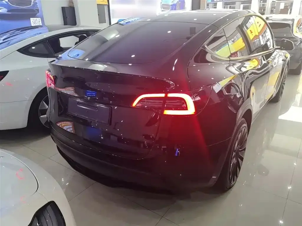Tesla Model Y — фото 10