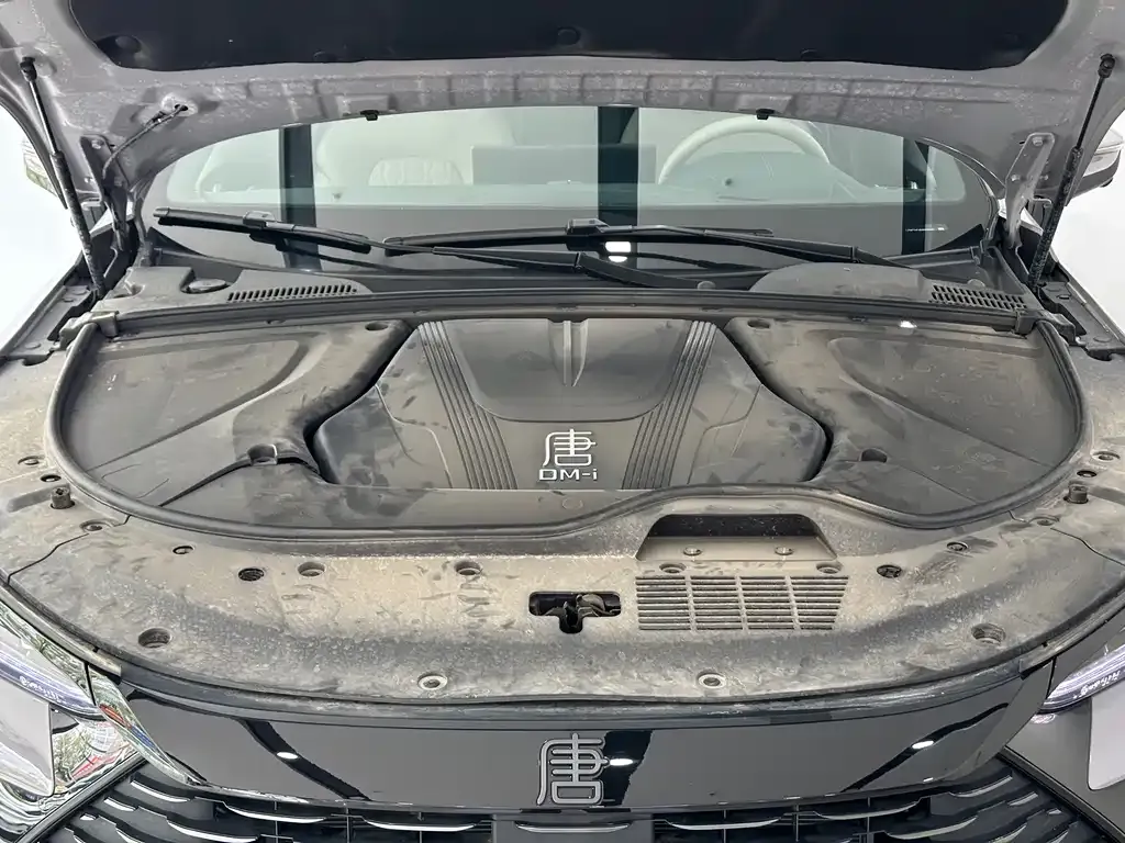 BYD Tang New Energy 2025 из CN, фото 10