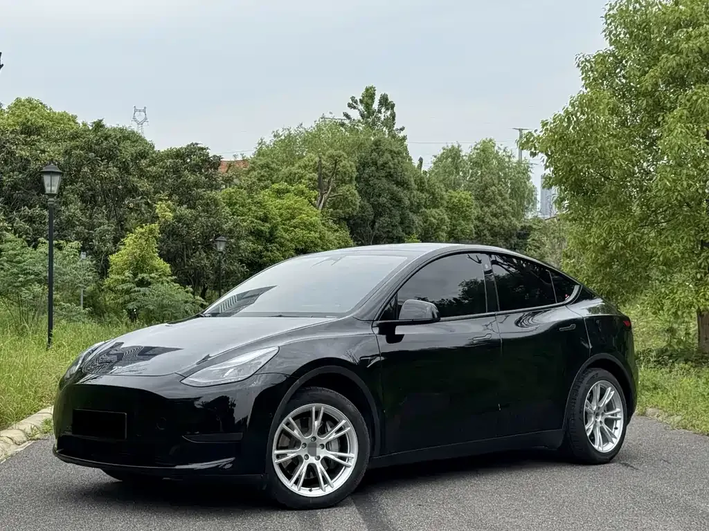 Tesla Model Y — фото 1