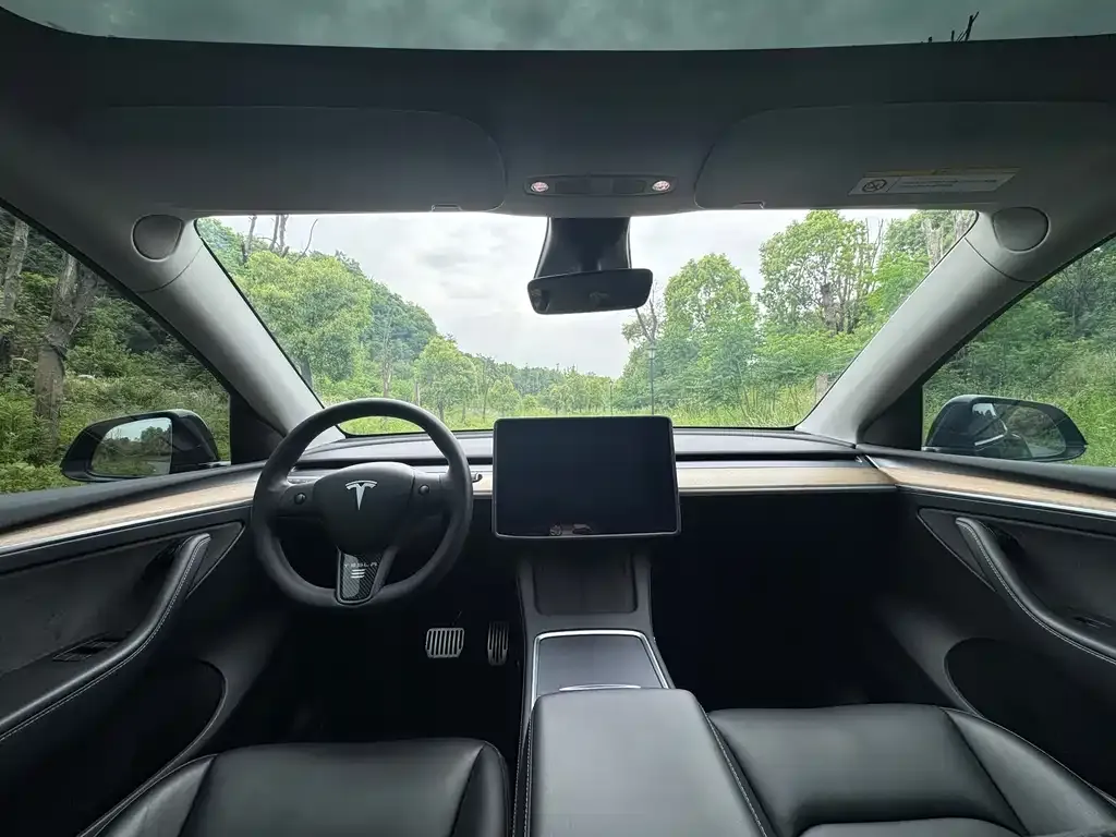 Tesla Model Y — фото 3