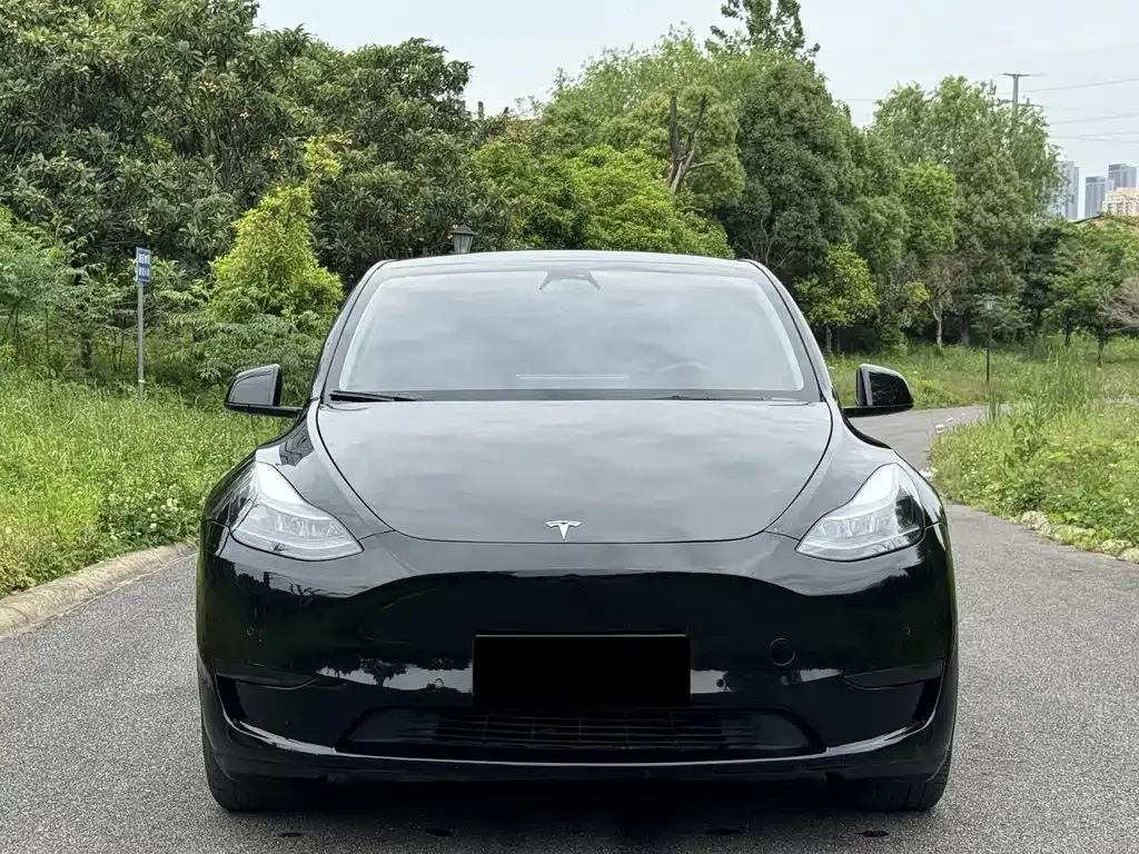 Tesla Model Y — фото 5