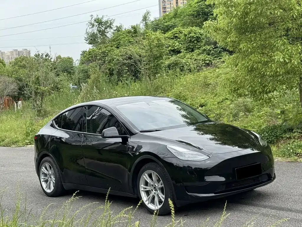 Tesla Model Y — фото 6