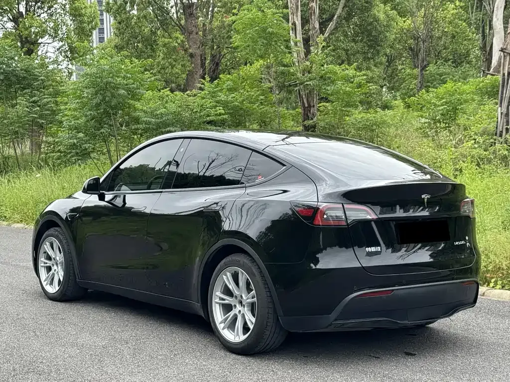 Tesla Model Y — фото 10