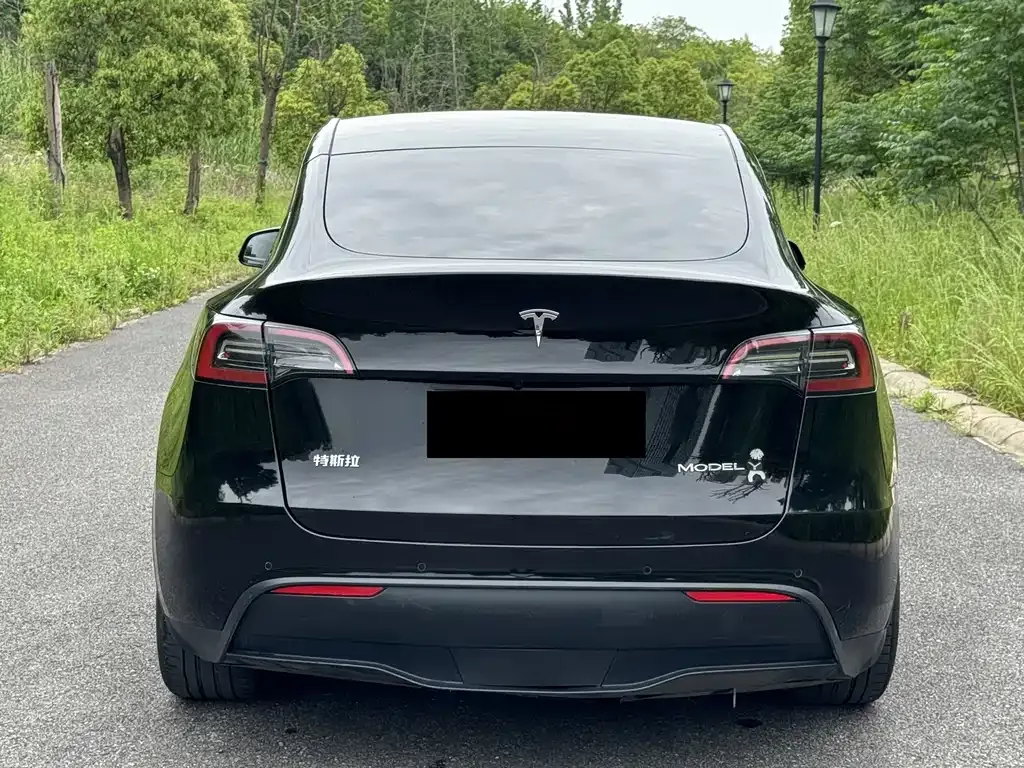Tesla Model Y — фото 9
