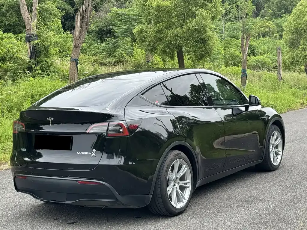 Tesla Model Y — фото 8