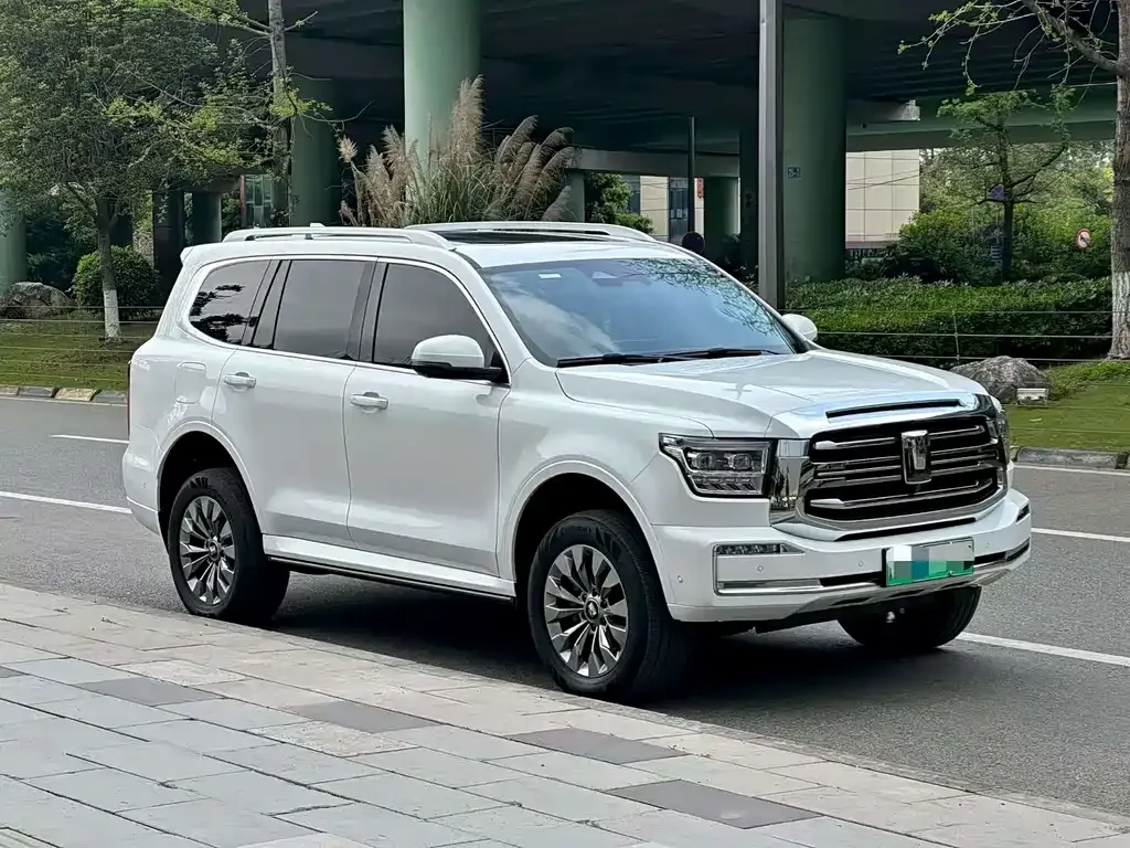 Tank 500 New Energy 2023 из CN, фото 3