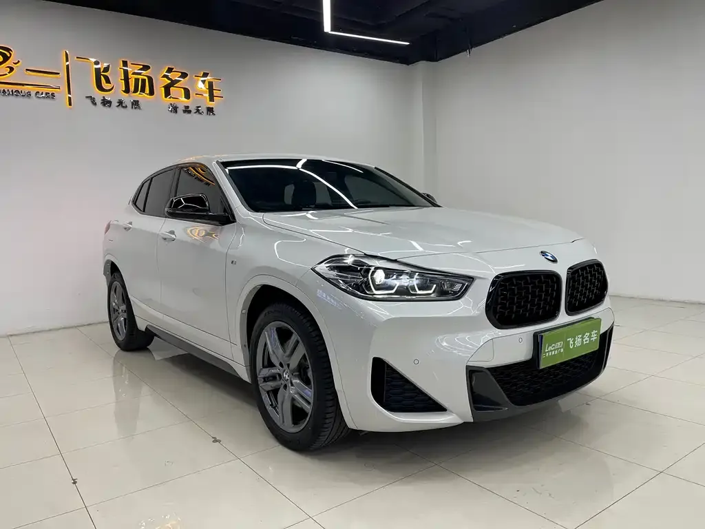 BMW X2 2023 из CN, фото 6
