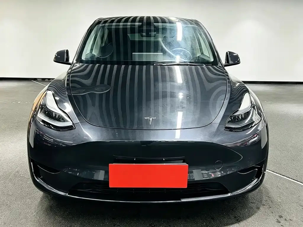 Tesla Model Y — фото 5