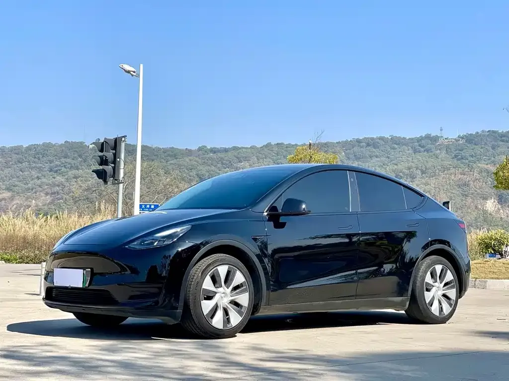 Tesla Model Y — фото 1