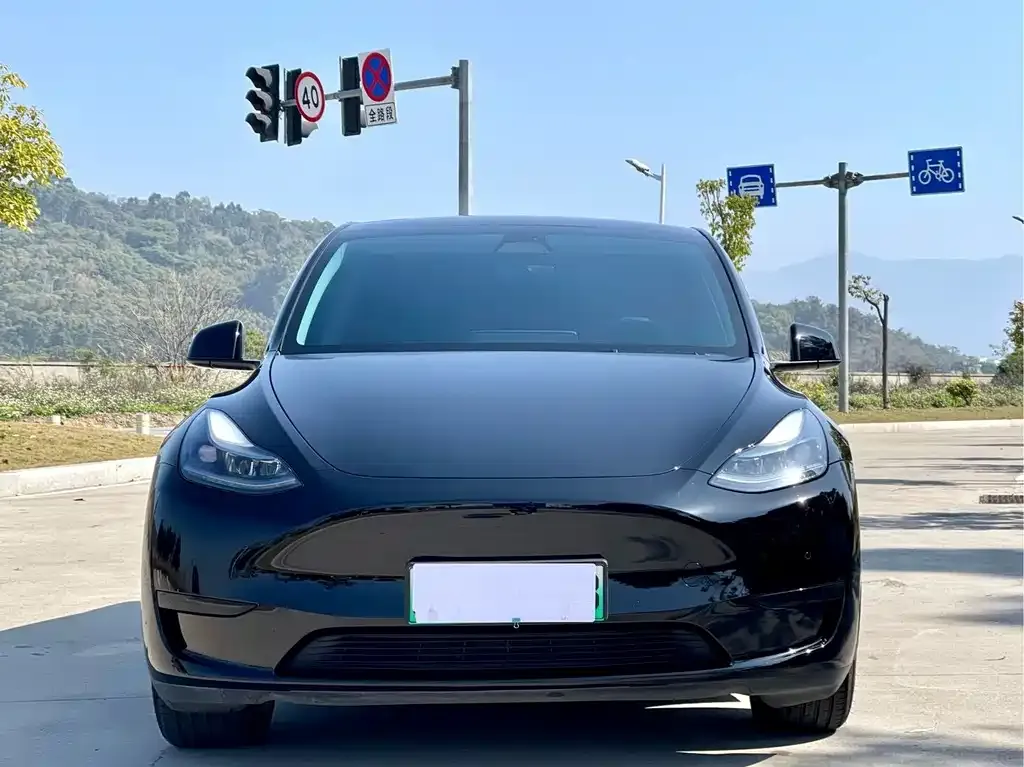 Tesla Model Y — фото 5