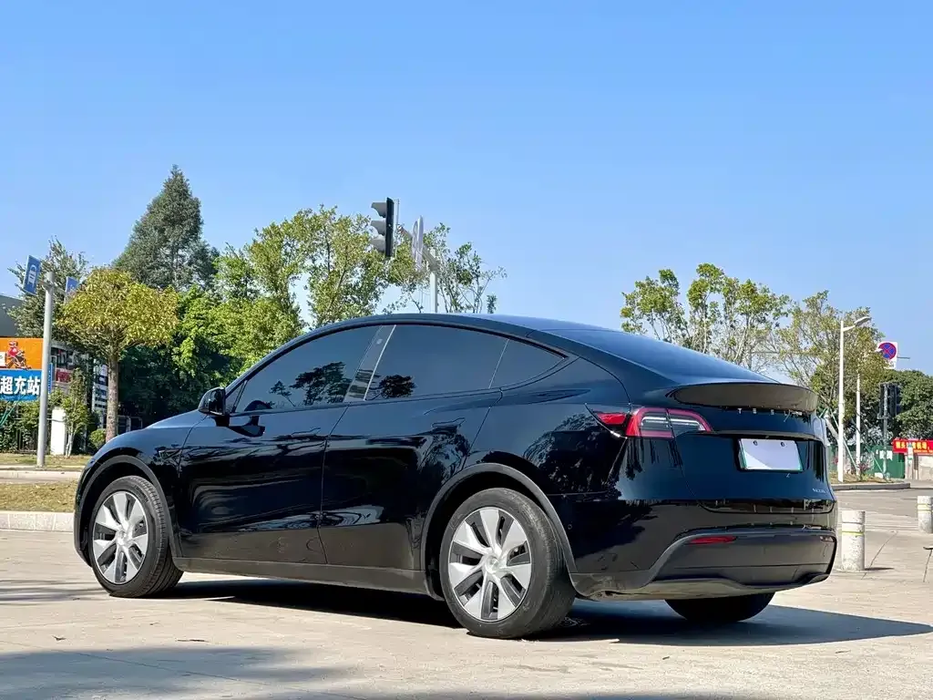 Tesla Model Y — фото 8
