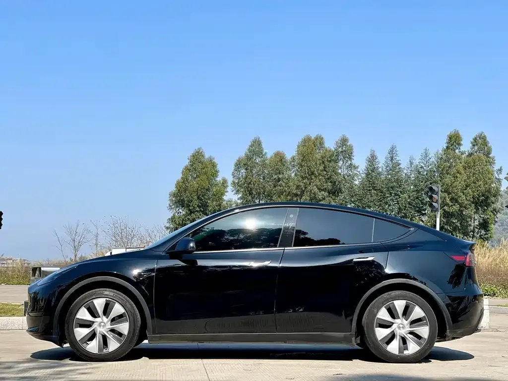 Tesla Model Y — фото 2