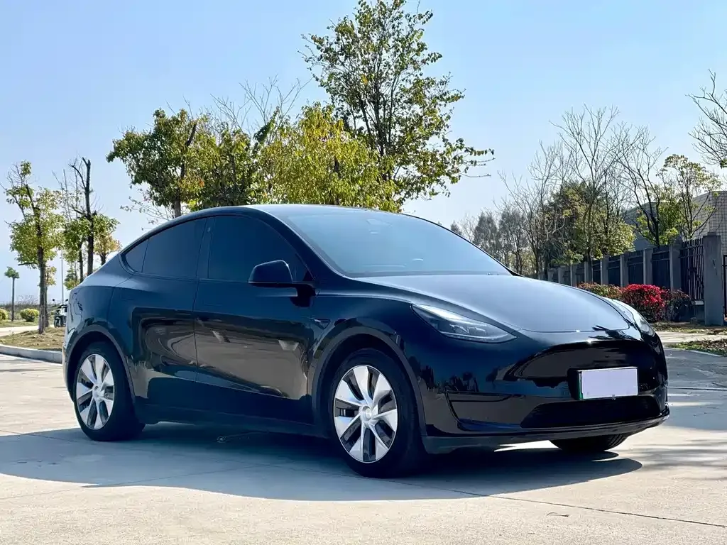 Tesla Model Y — фото 6