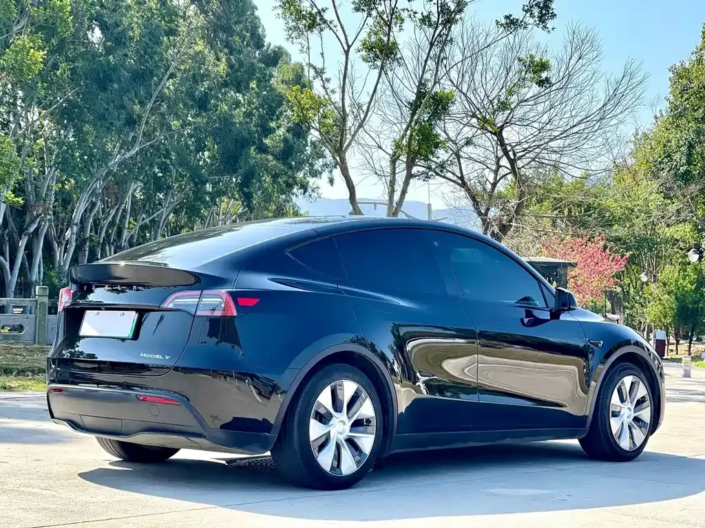 Tesla Model Y — фото 10
