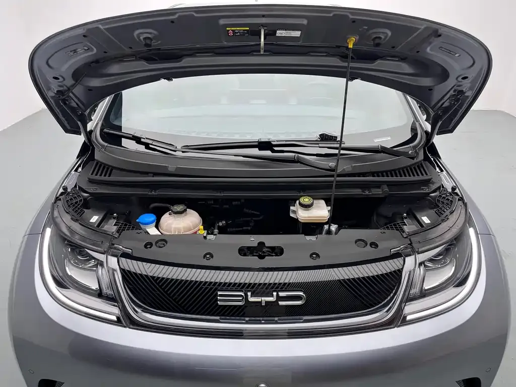 BYD Dolphin 2023 из CN, фото 8