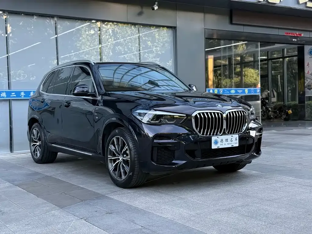 BMW X5 (Import) — фото 6