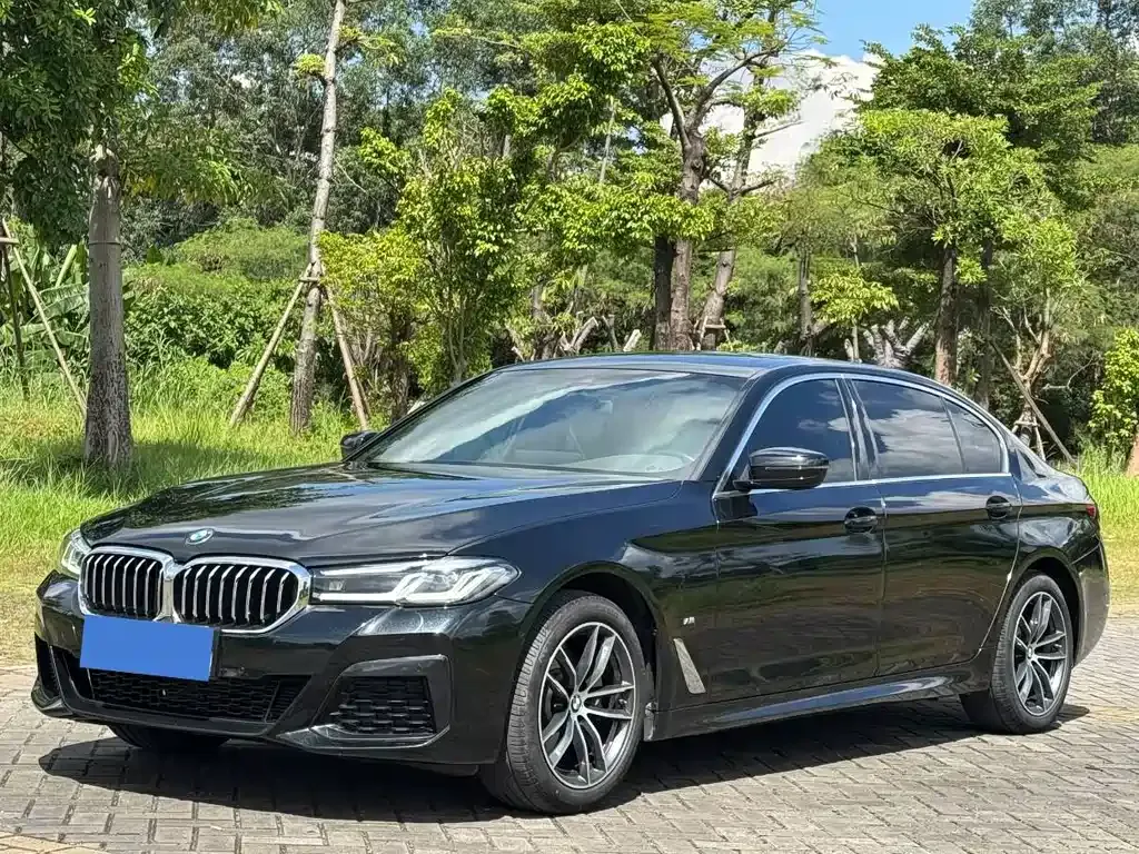 BMW 5 Series 2023 из CN, фото 1