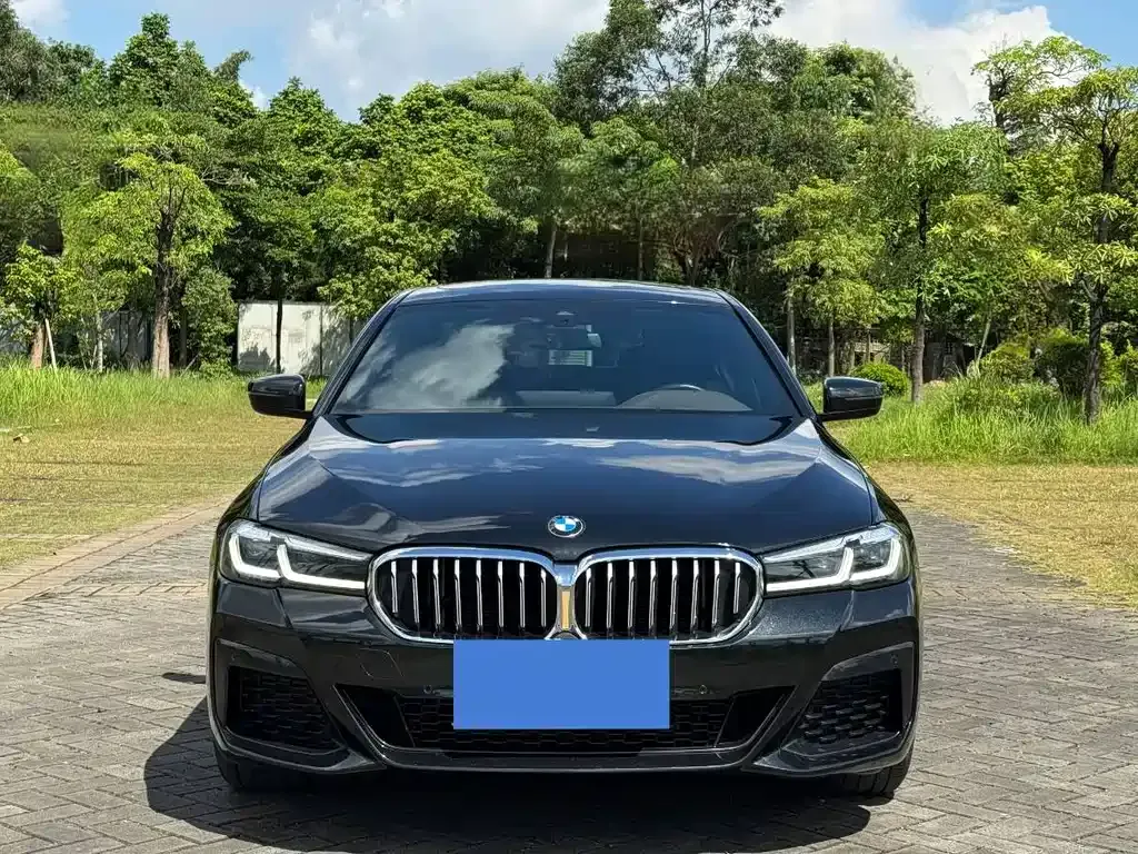 BMW 5 Series 2023 из CN, фото 9
