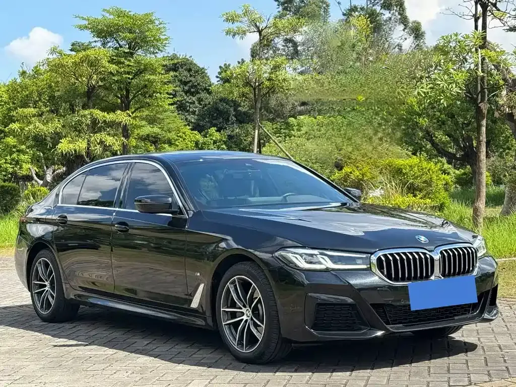BMW 5 Series 2023 из CN, фото 6