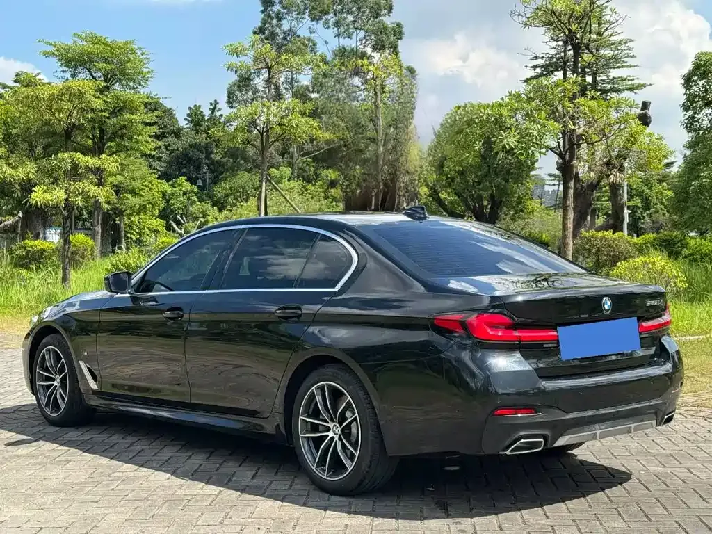 BMW 5 Series 2023 из CN, фото 10