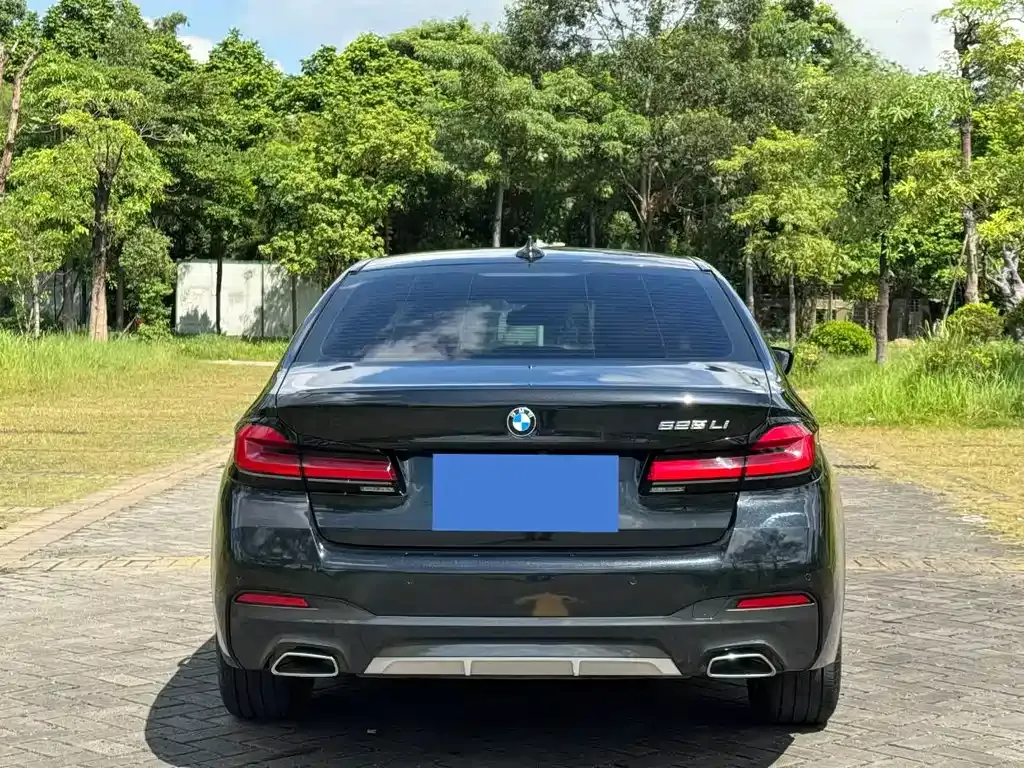 BMW 5 Series 2023 из CN, фото 5