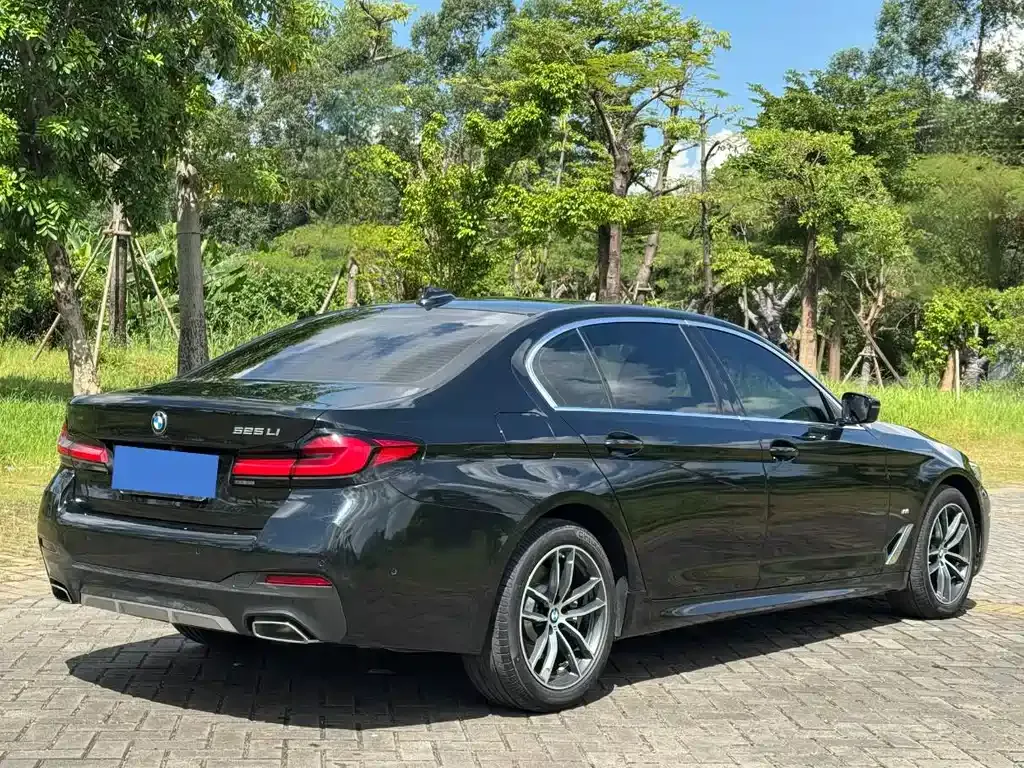 BMW 5 Series 2023 из CN, фото 8
