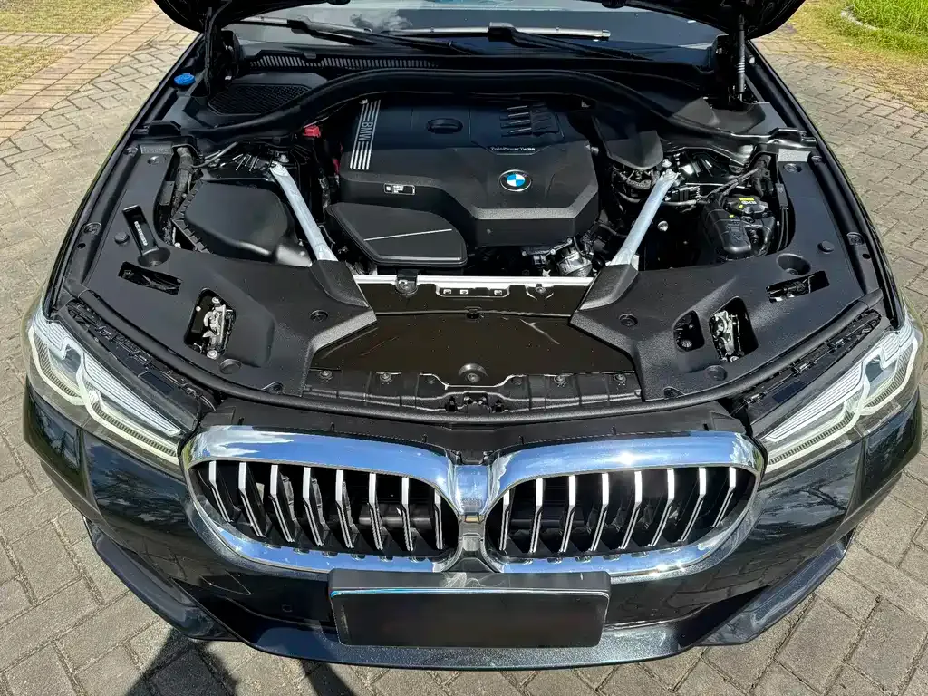BMW 5 Series 2023 из CN, фото 7