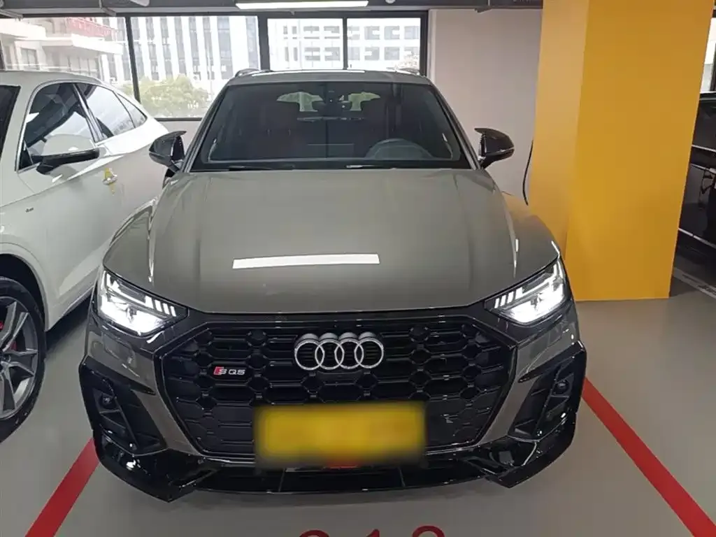 Audi SQ5 2024 из CN, фото 5