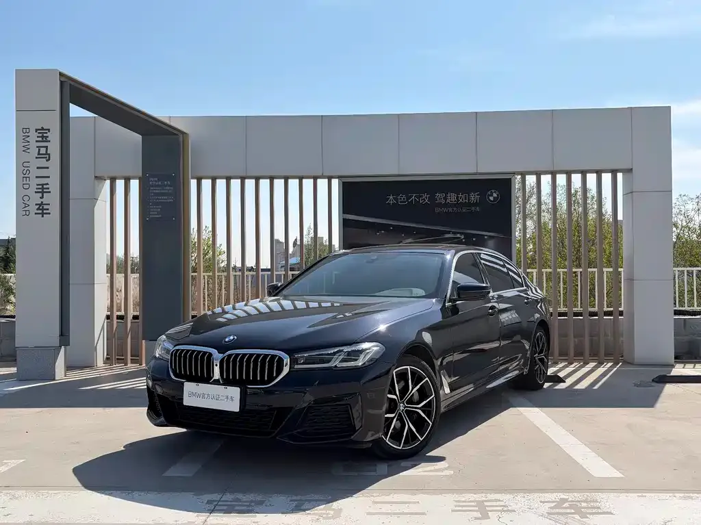 BMW 5 Series 2022 из CN, фото 1