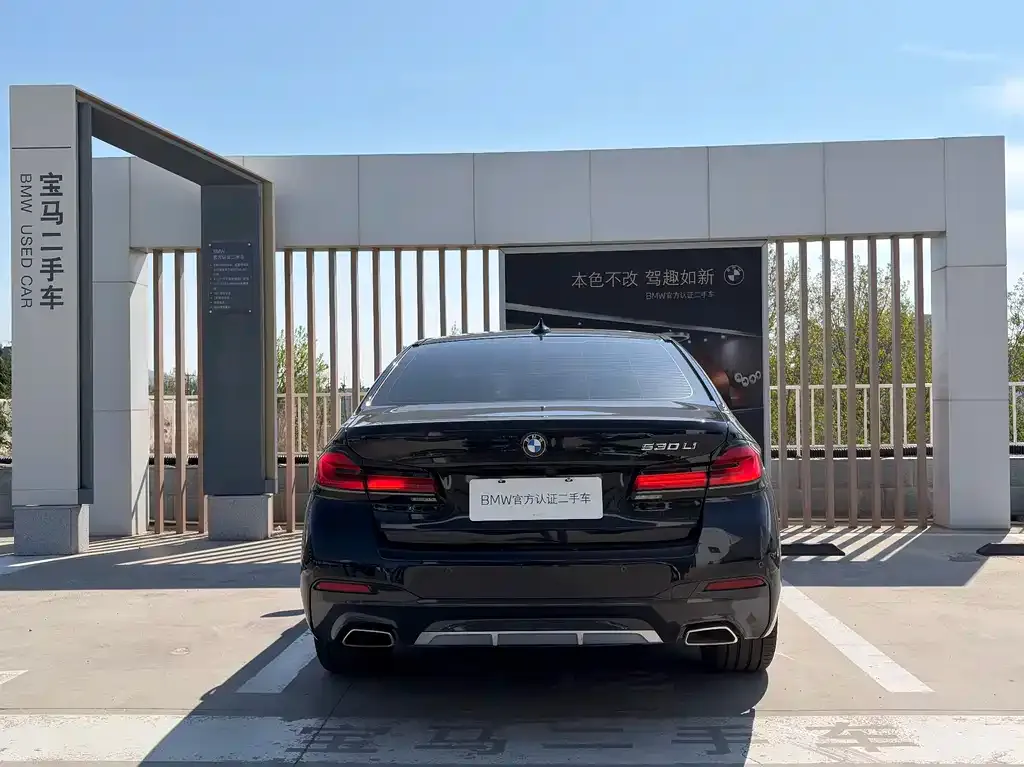 BMW 5 Series 2022 из CN, фото 8