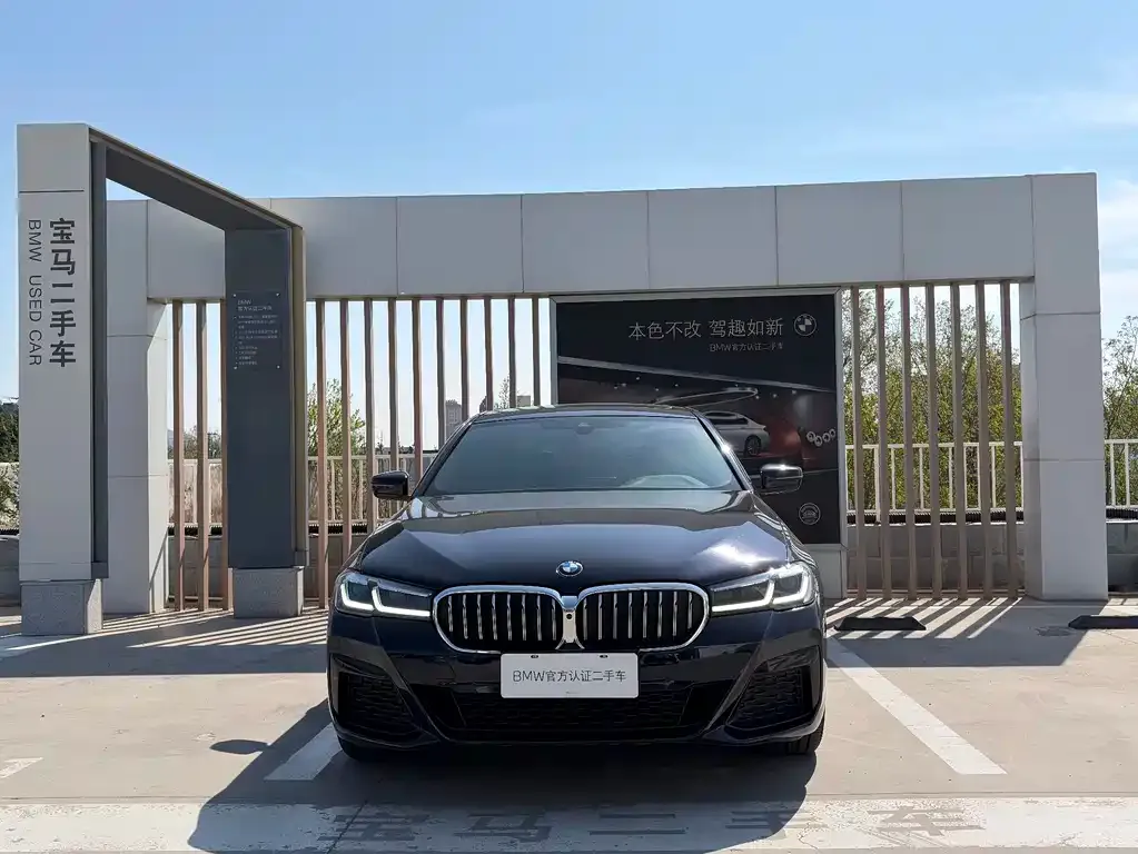 BMW 5 Series 2022 из CN, фото 10