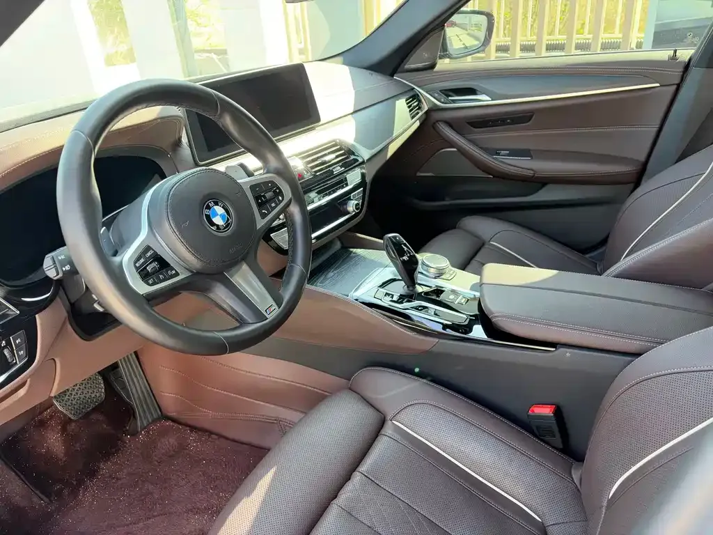 BMW 5 Series 2022 из CN, фото 5