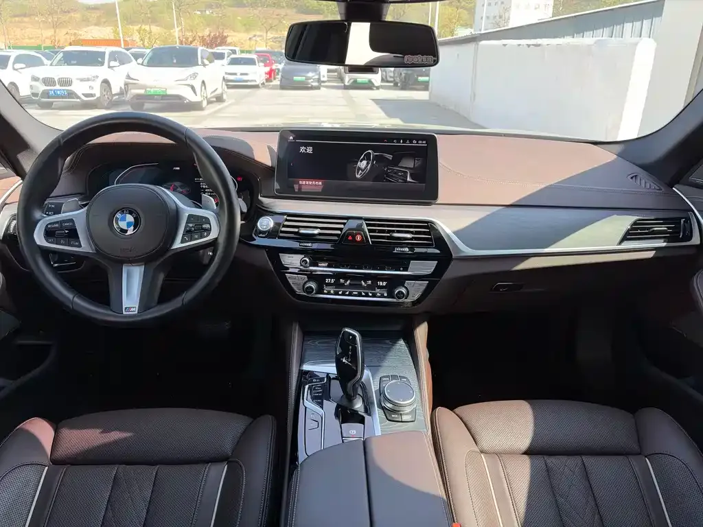 BMW 5 Series 2022 из CN, фото 6