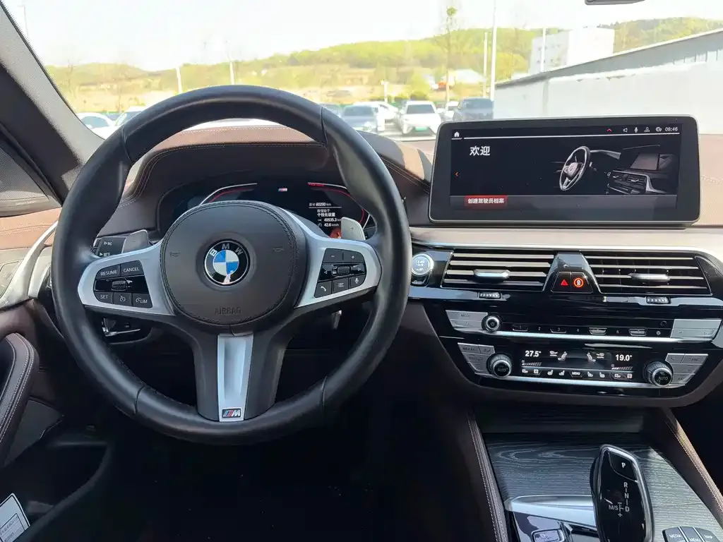 BMW 5 Series 2022 из CN, фото 4