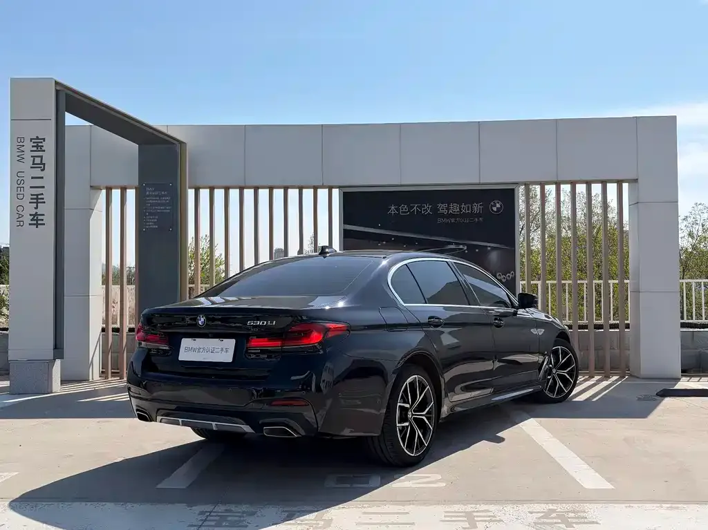 BMW 5 Series 2022 из CN, фото 7