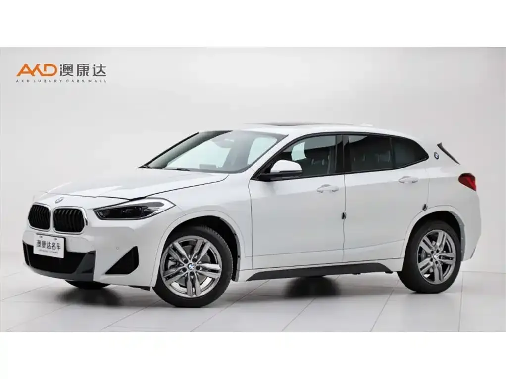 BMW X2 — фото 1