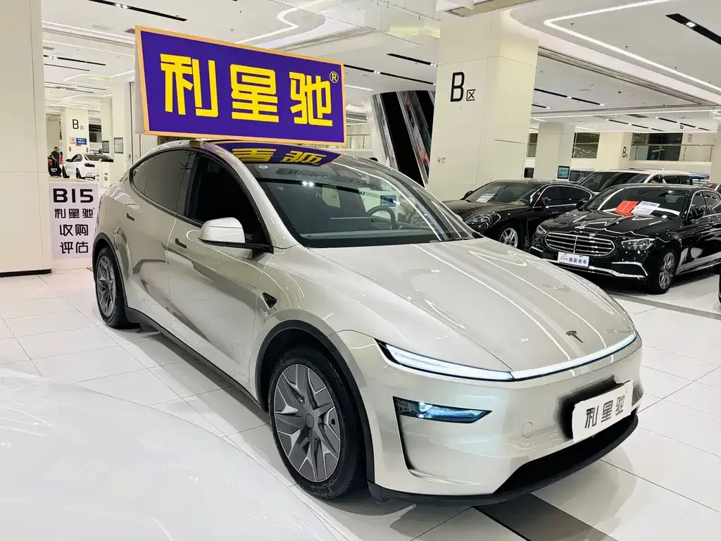Tesla Model Y L 2025 из CN, фото 6