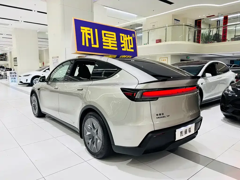Tesla Model Y L 2025 из CN, фото 10
