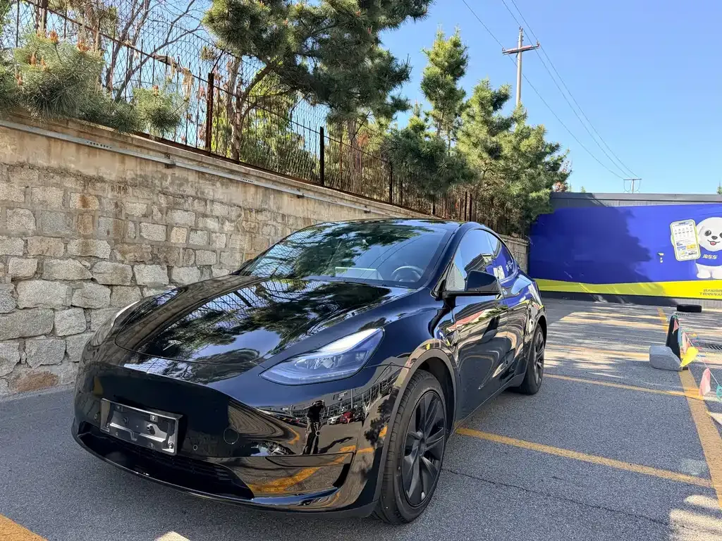 Tesla Model Y — фото 1