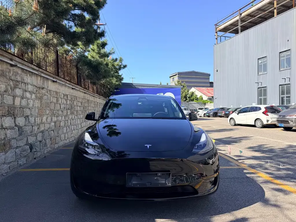 Tesla Model Y — фото 6