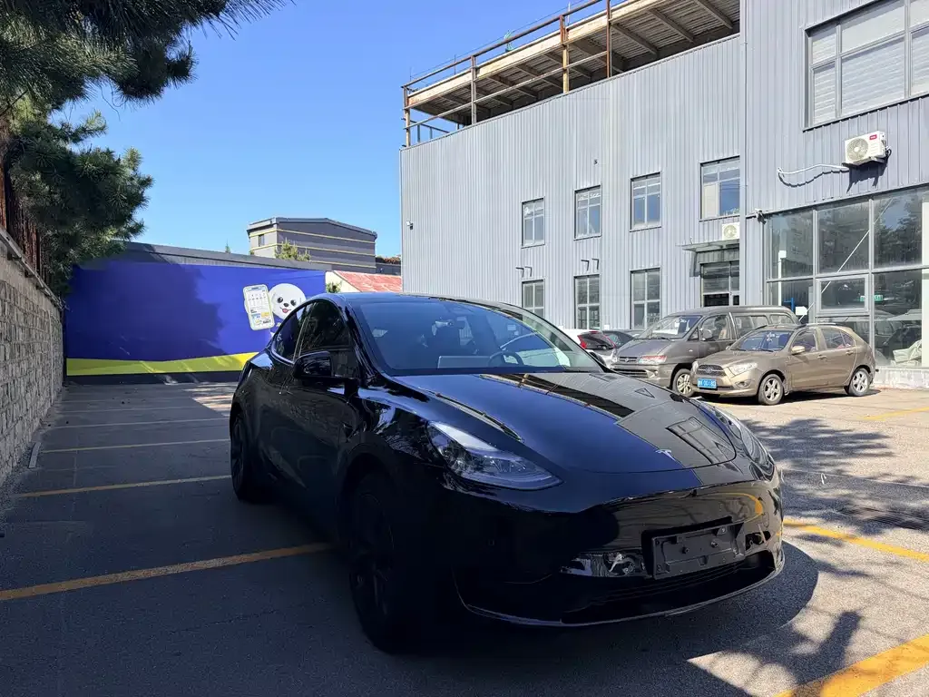 Tesla Model Y — фото 5