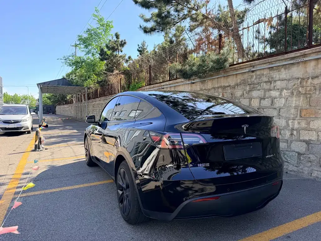 Tesla Model Y — фото 9