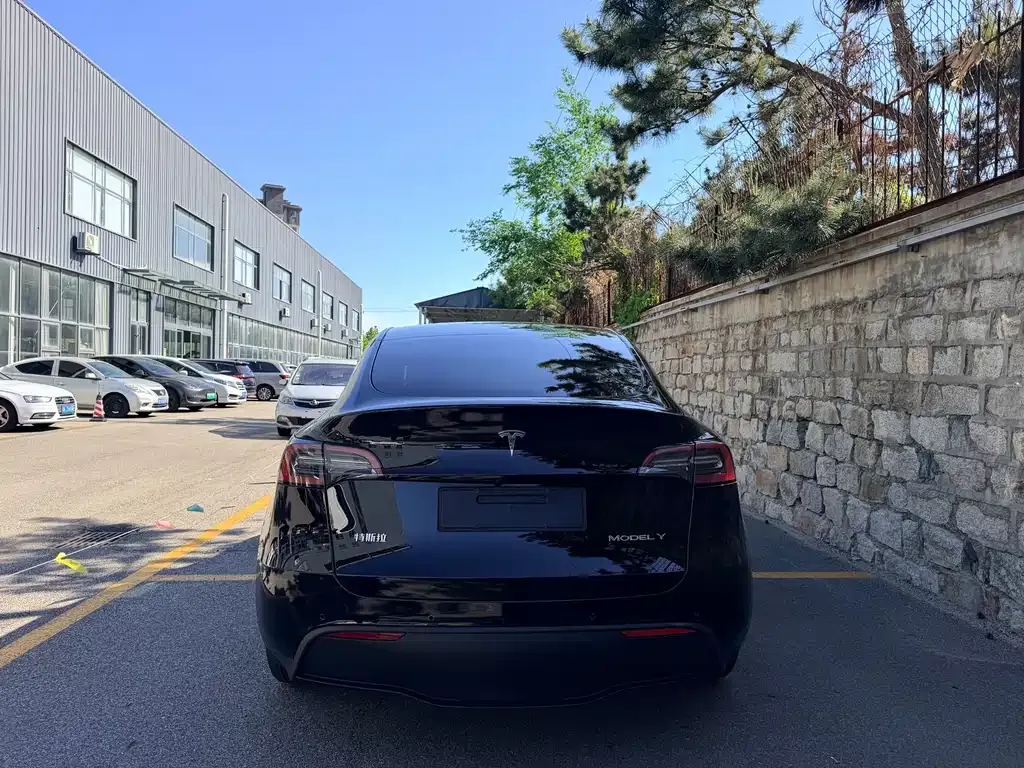 Tesla Model Y — фото 7