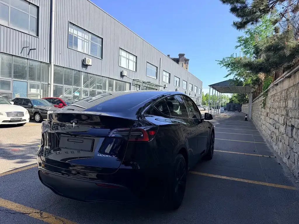 Tesla Model Y — фото 8