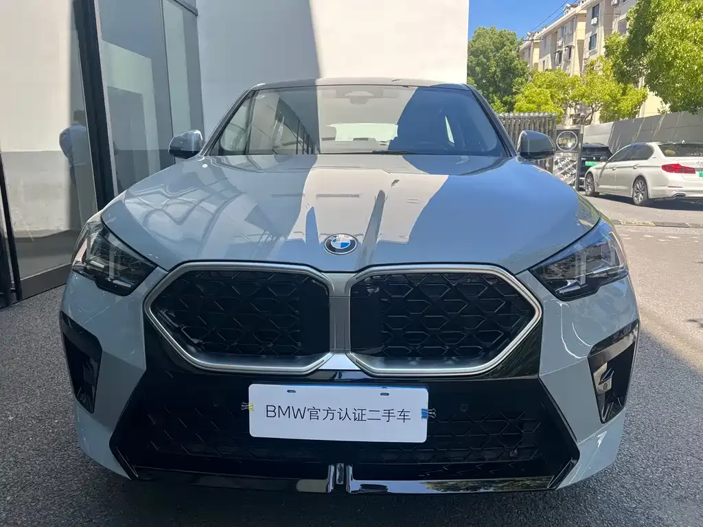 BMW X2 (Import) 2025 из CN, фото 3